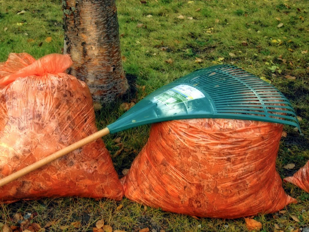 What Maintenance Is Needed For An Artificial Turf Lawn? 1