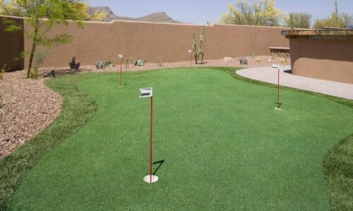 Backyard Putting Green Installed by Ideal Turf in Houston, TX Backyard