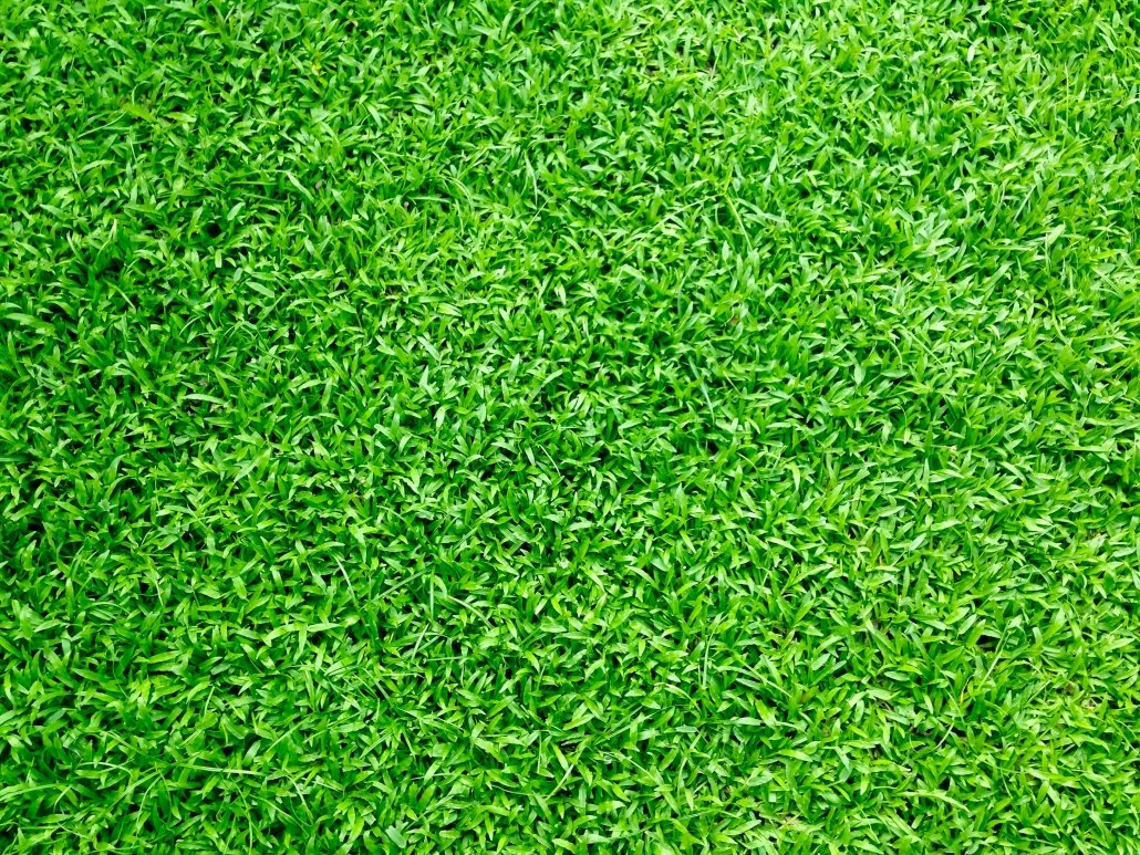 artificial turf installation, ideal turf