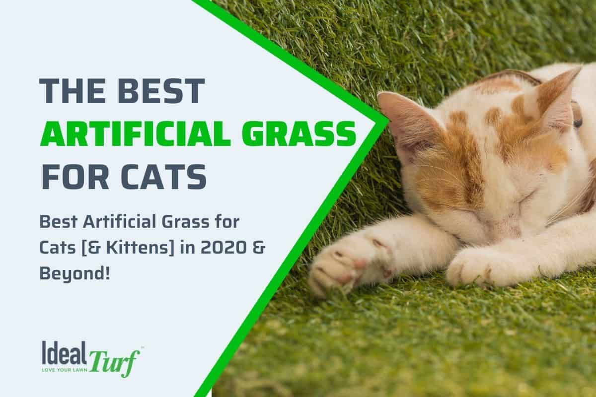 Best Artificial Grass for Cats [& Kittens] in 2020 & Beyond!