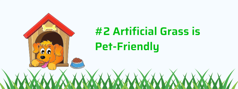 Artificial Grass is Pet-Friendly