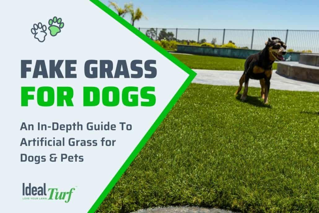 Fake Grass for Dogs: The Ultimate Pet Turf Buyer's Guide