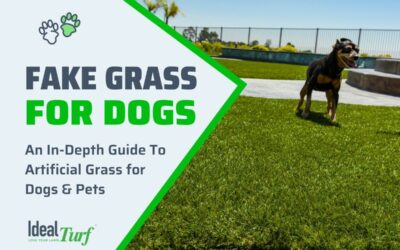 Fake Grass for Dogs-Ultimate Pet Turf Buyers Guide