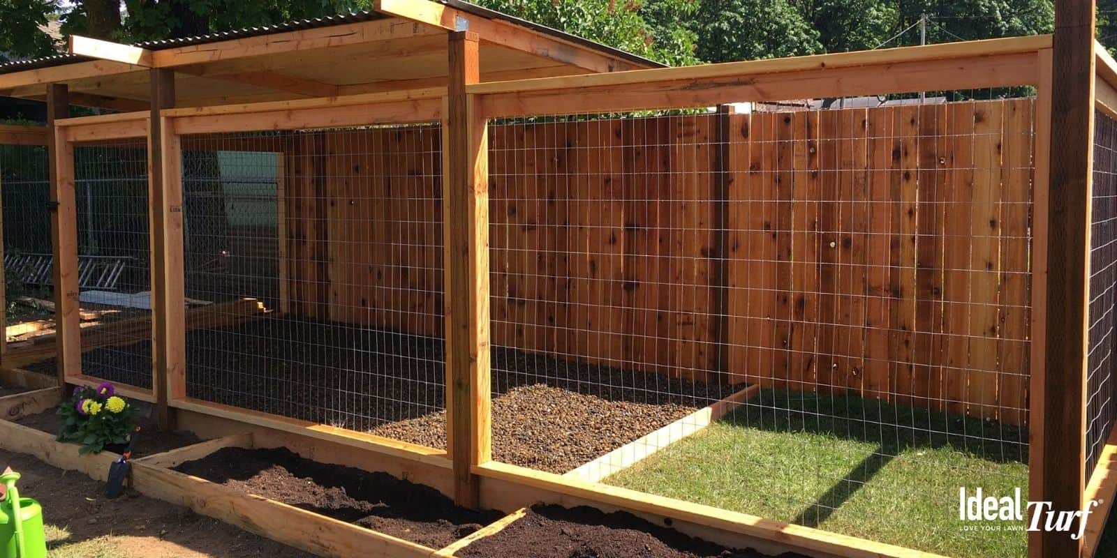 Dog pen 2025 ground cover