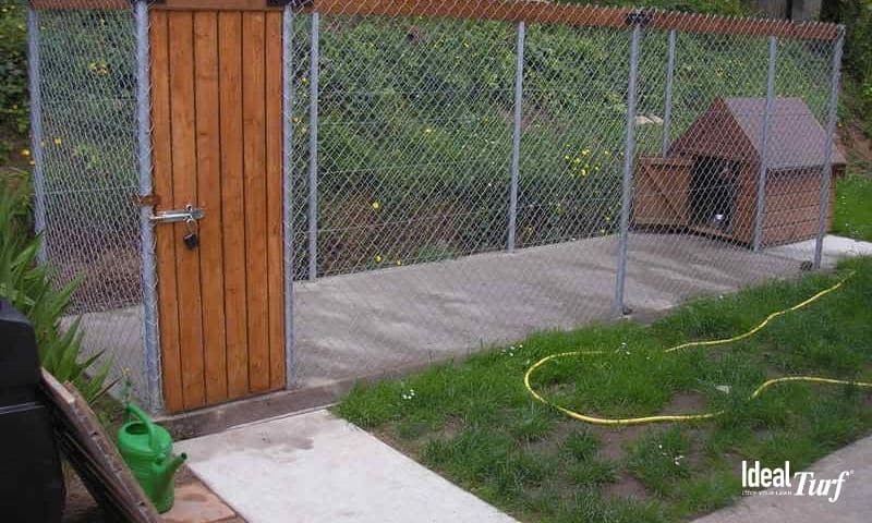 Dog Run w Concrete Ground Cover