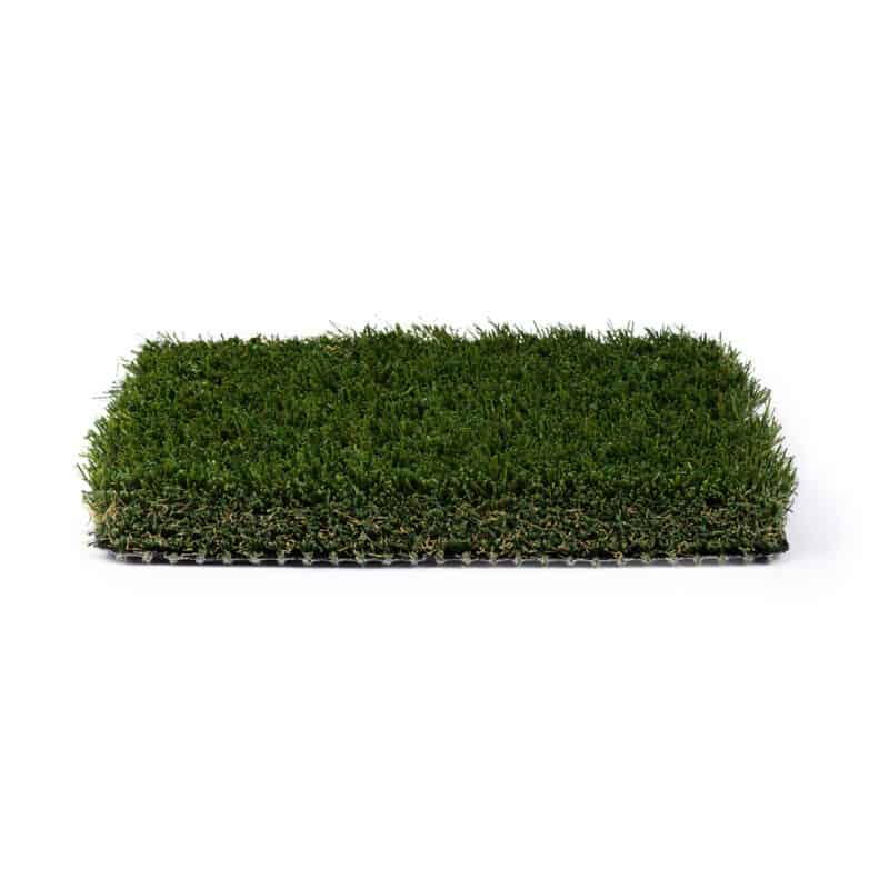 Meadow 80