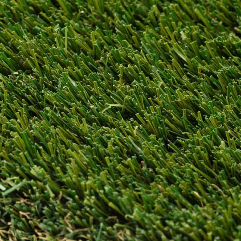 Meadow 80 closeup of turf fibers