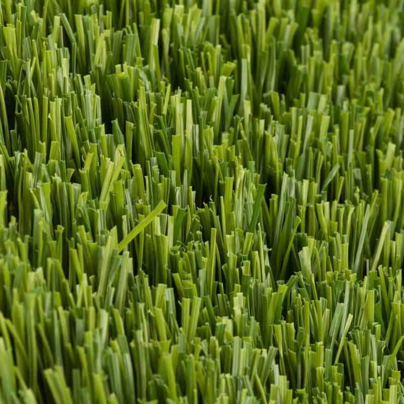 Preston 93 closeup of turf fibers