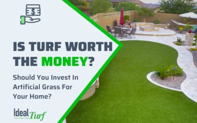 Is Artificial Grass Worth The Money?