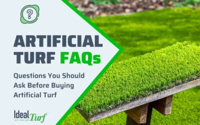 Questions Before Buying Turf