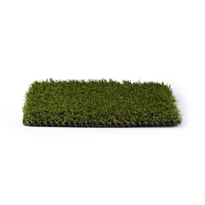 Dundee 77 turf product sample