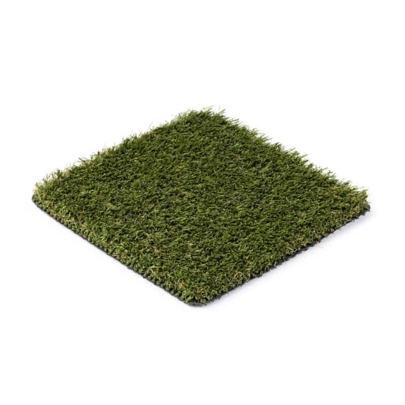 Dundee 77 turf product sample viewed from above at a slight angle