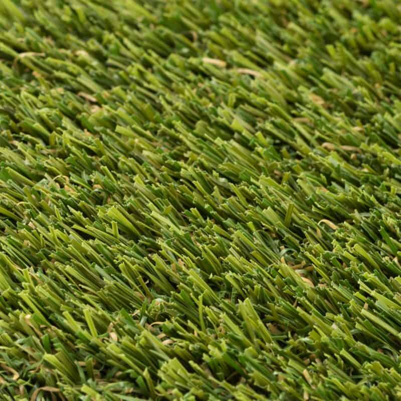 Closeup of Dundee 77 turf fibers