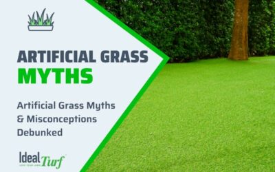 Artificial Grass Myths