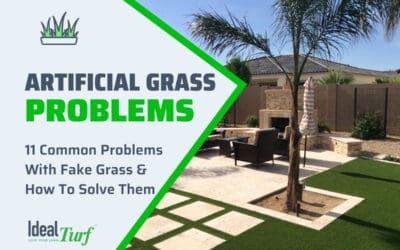 Artificial Grass Problems