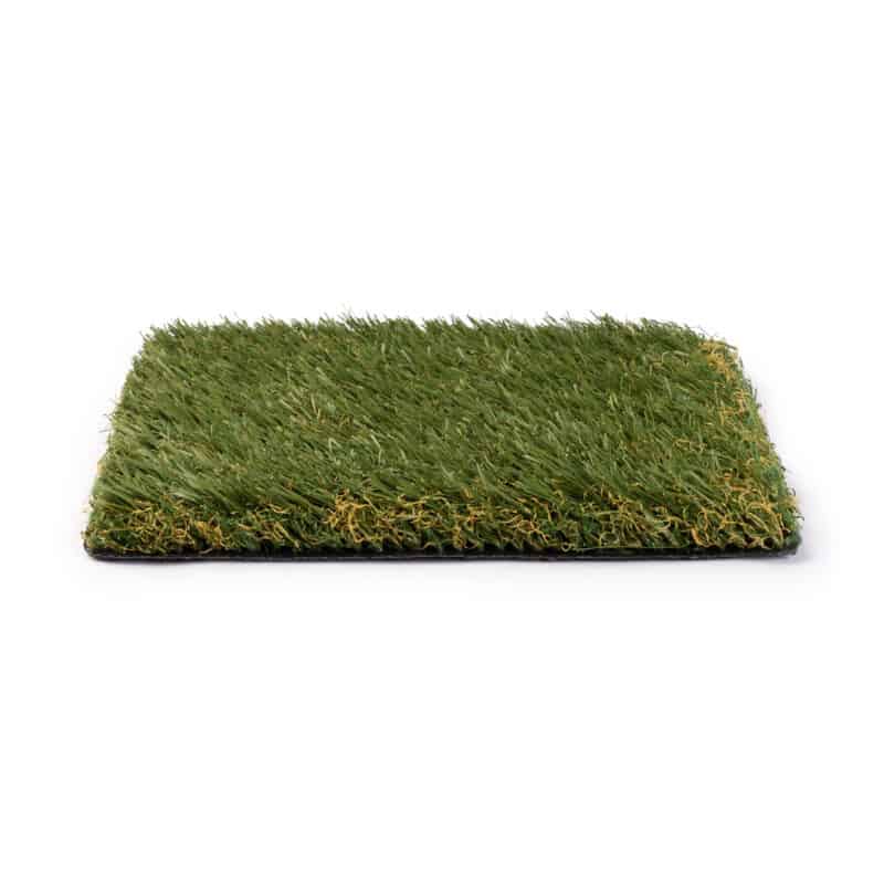 Salado 77 turf product sample