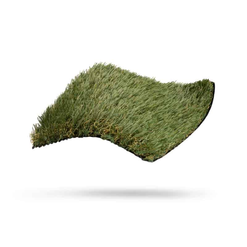 Salado 77 turf product sample floating on white background and tilted towards the camera