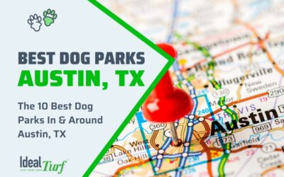 Best Dog Parks Austin