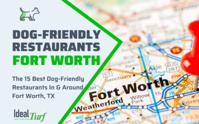 Dog-Friendly Restaurants Fort Worth