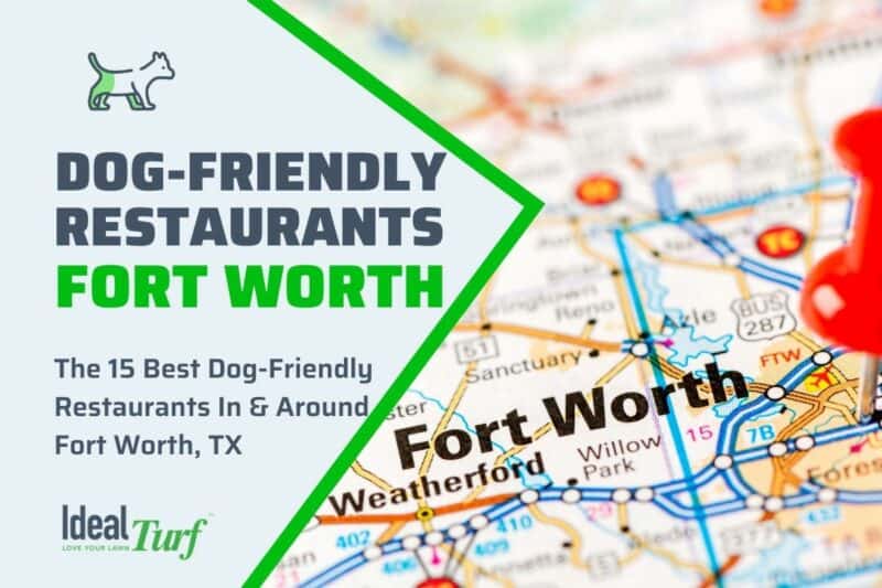 15 Best DogFriendly Restaurants in & Around Fort Worth, TX