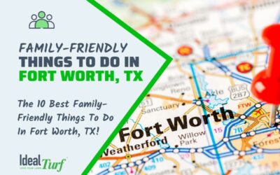 Things To Do Fort Worth