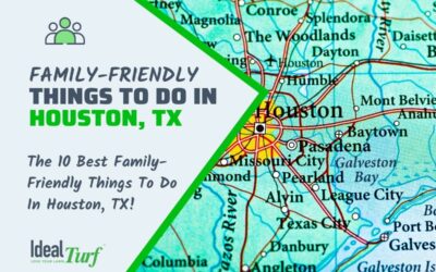 Things To Do Houston