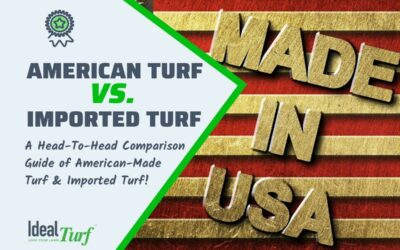 American Turf vs. Imported Turf