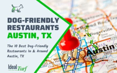 Dog-Friendly Restaurants Austin