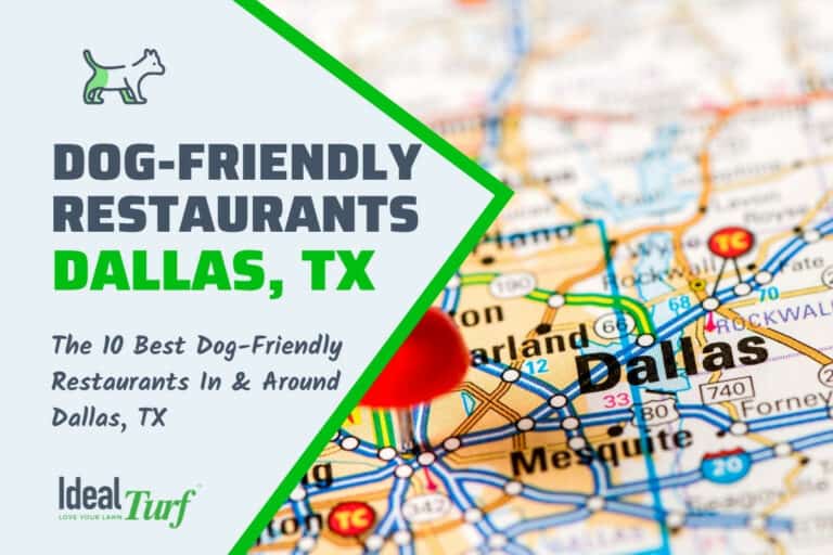 10 Best DogFriendly Restaurants in Dallas, TX