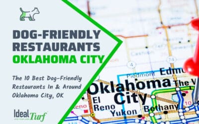 Dog-Friendly Restaurants OKC