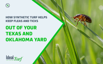 Why More Texans and Oklahomans Are Turning to Artificial Grass for a Greener Future 1