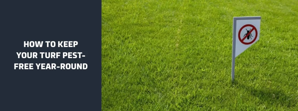 How to Keep Your Turf Pest-Free Year-Round