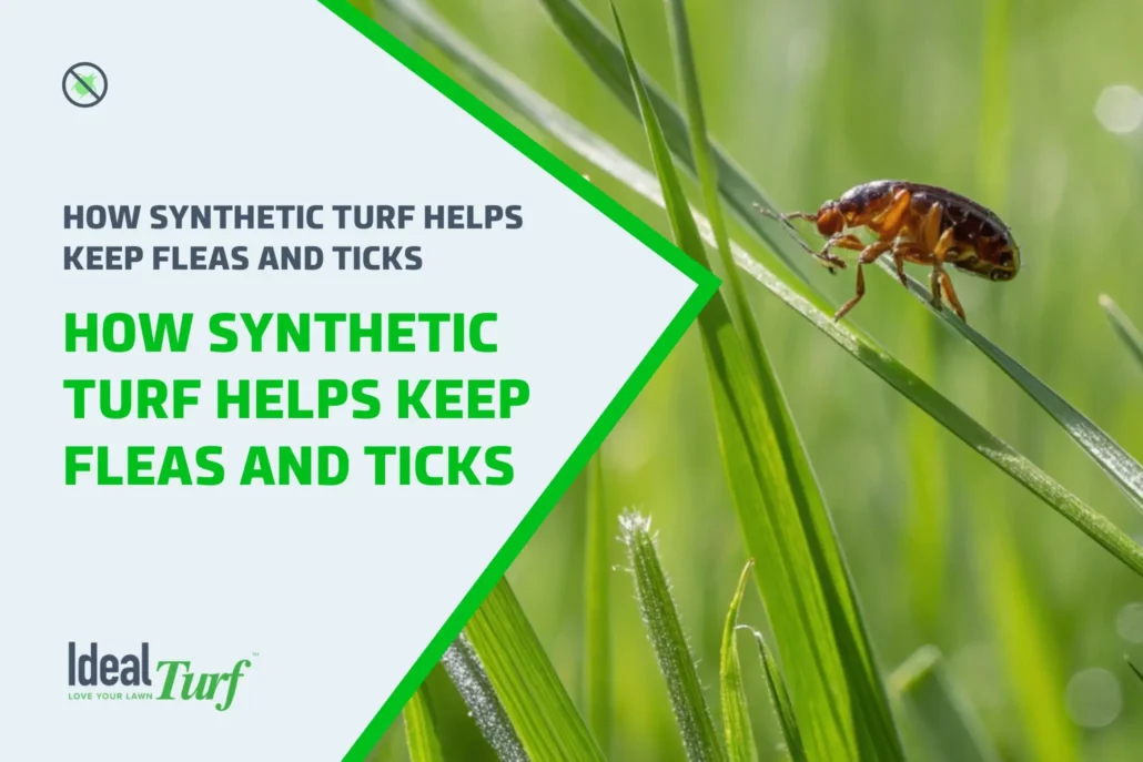 How Synthetic Turf Helps Keep Fleas and Ticks Out of Your Texas and Oklahoma Yard